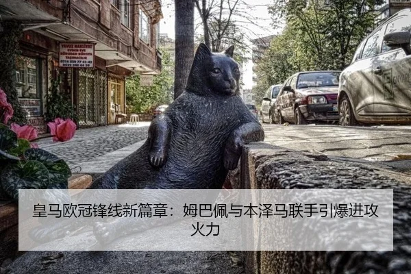 huang-ma-ou-guan-feng-xian-xin-pian-zhang-mu-ba-pei-yu-ben-ze-ma-lian-shou-yin-bao-jin-gong-huo-li-3-271.jpg