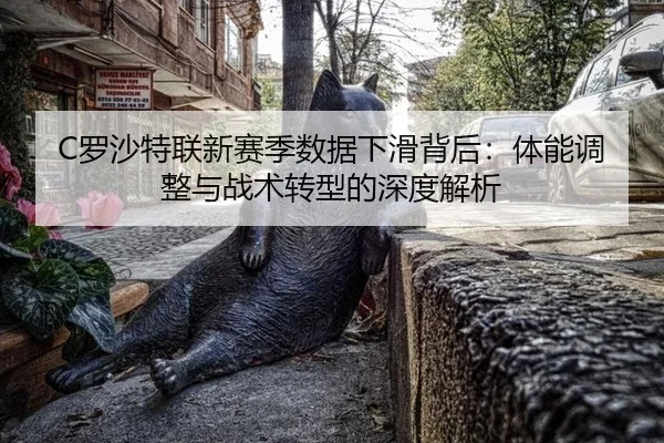 luo-sha-te-lian-xin-sai-ji-shu-ju-xia-hua-bei-hou-ti-neng-tiao-zheng-yu-zhan-shu-zhuan-xing-de-shen-du-jie-xi-3-685.jpg